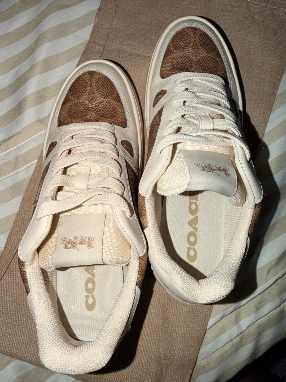 Coach Clip Court Low Top Sneaker In Signature Canvas
